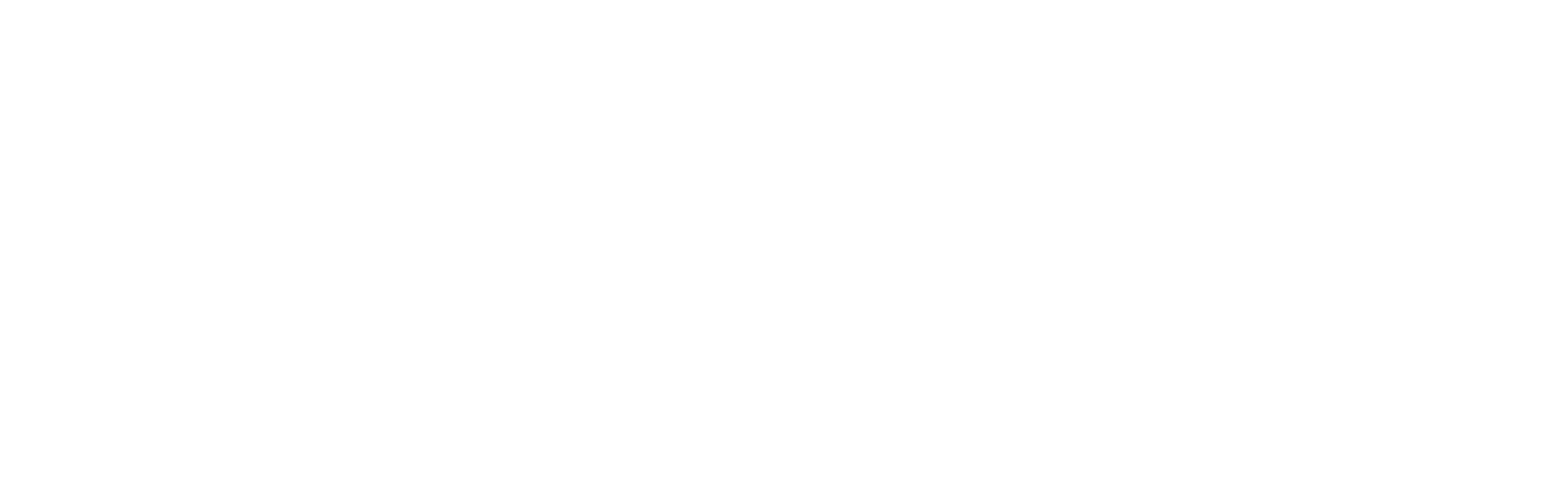 18+ ludomani